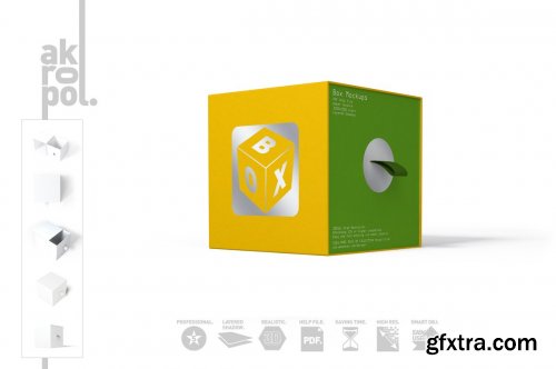 CreativeMarket - Box Mock-up 4858979