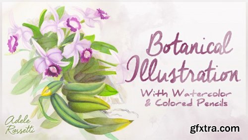  Botanical Illustration: With Watercolor & Colored Pencils 