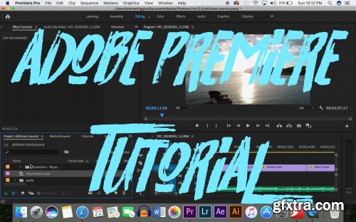  Learn PREMIERE PRO in 20 Minutes - Basic Editing for Beginners!