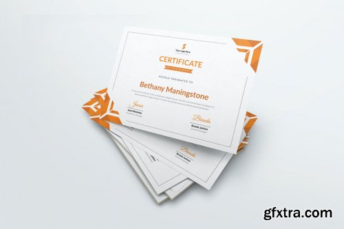 Elements.Envato - Geotrics Certificate