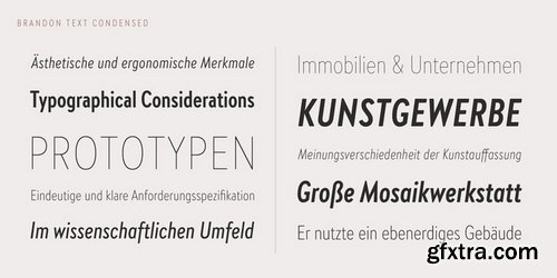 Brandon Text Condensed Font Family