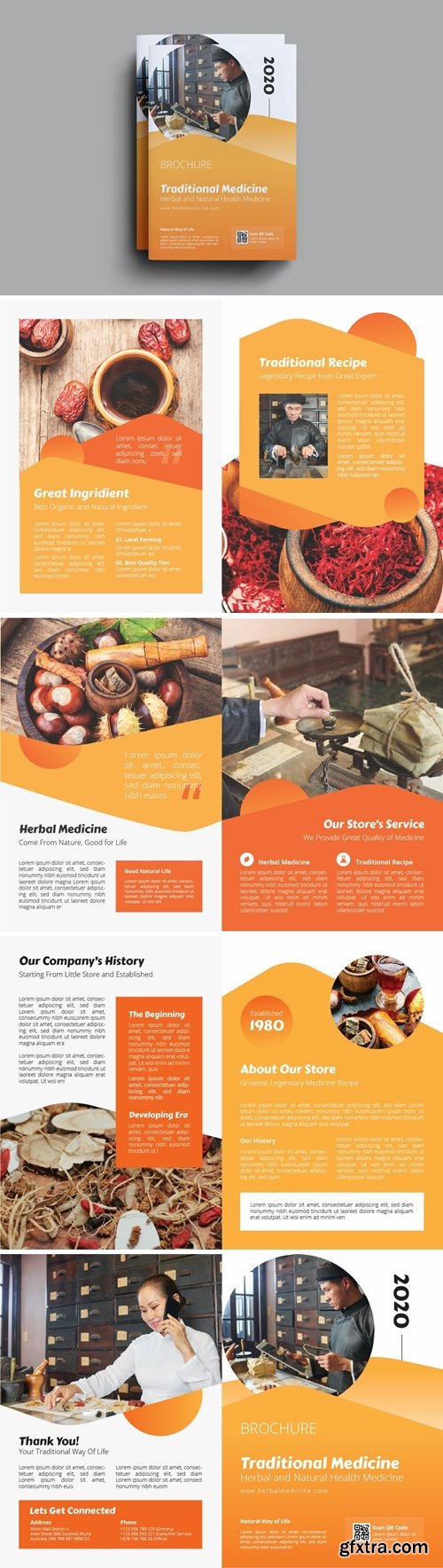 Traditional Medicine Brochure