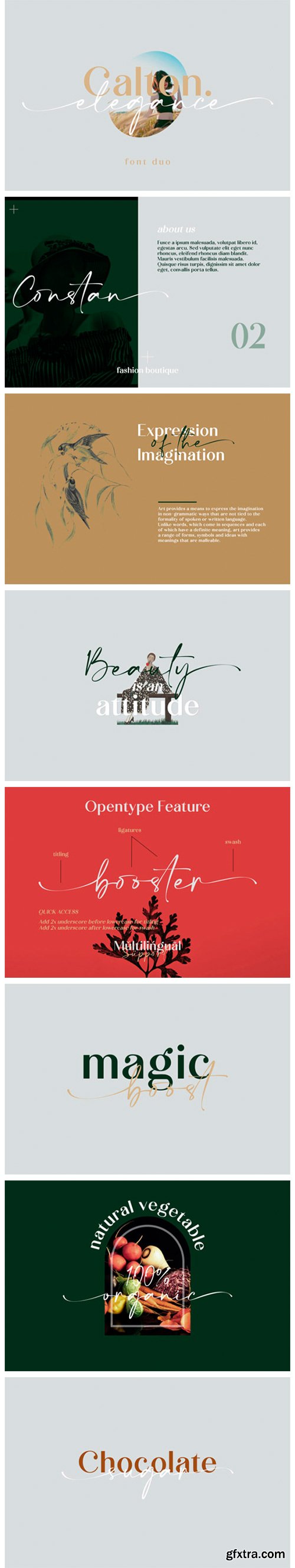 Calton Elegance Duo Font