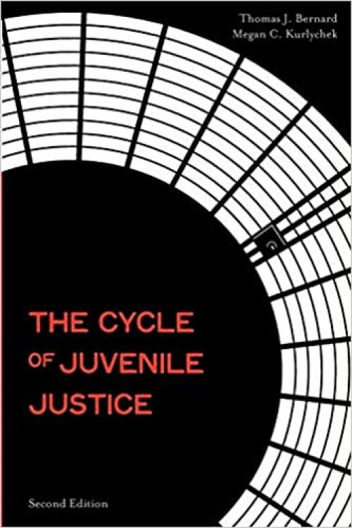  The Cycle of Juvenile Justice 