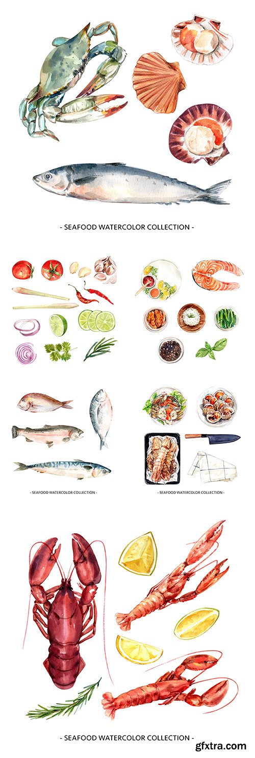 Seafood and vegetables watercolor design illustrations
