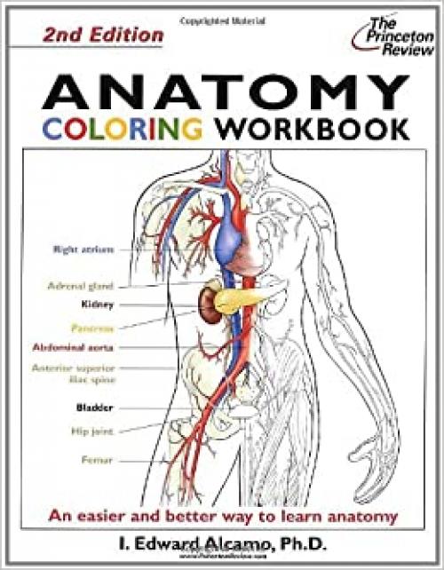  Anatomy Coloring Workbook, Second Edition (Bk. 2) 