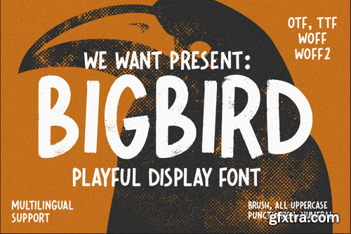 Bigbird Playful Display Font