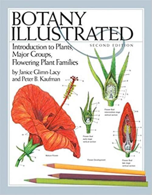  Botany Illustrated: Introduction to Plants, Major Groups, Flowering Plant Families 