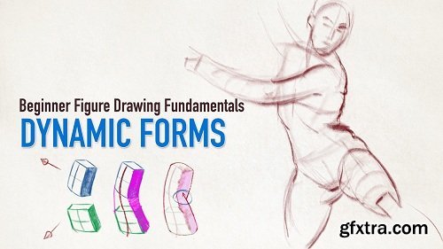Beginner Figure Drawing Fundamentals - Dynamic Forms