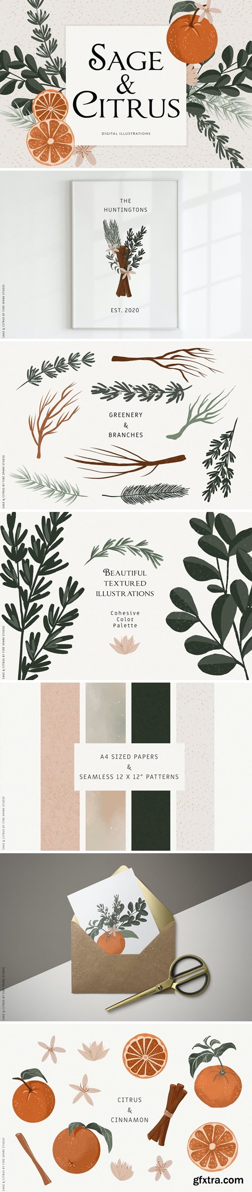 Sage Green and Citrus Illustrations