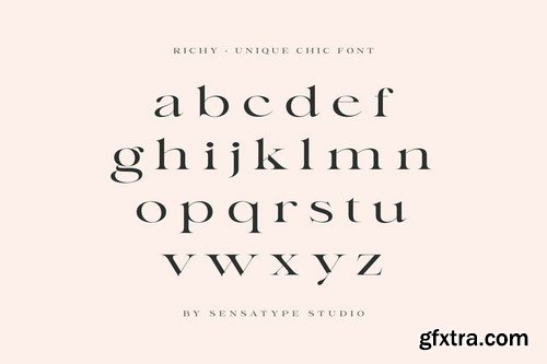 Richy - Unique Chic Font