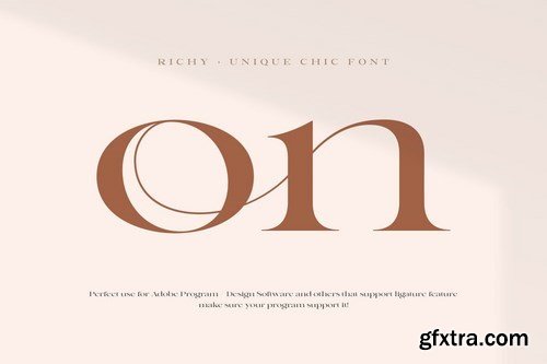 Richy - Unique Chic Font