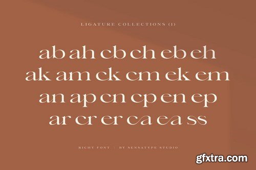 Richy - Unique Chic Font