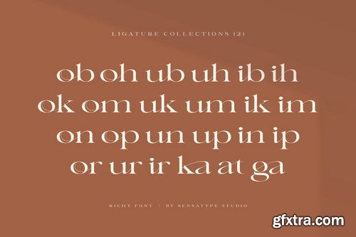 Richy - Unique Chic Font