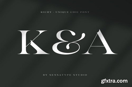 Richy - Unique Chic Font