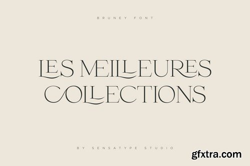 Bruney - Classy Ligature Font