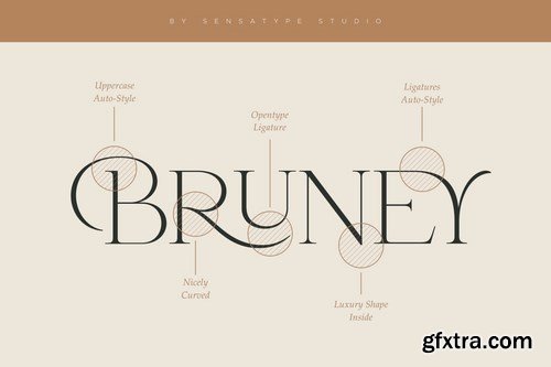 Bruney - Classy Ligature Font