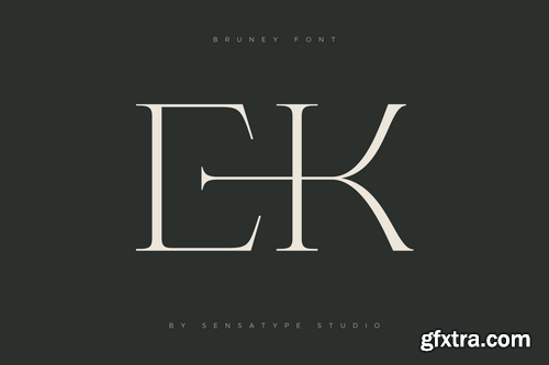 Bruney - Classy Ligature Font