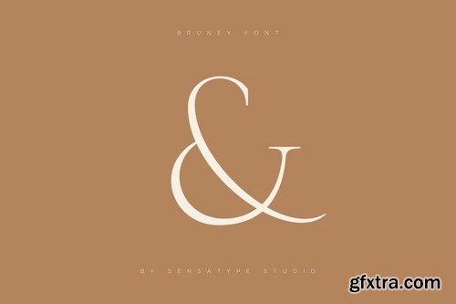 Bruney - Classy Ligature Font