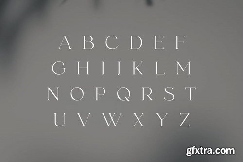 fonde - elegant chic font