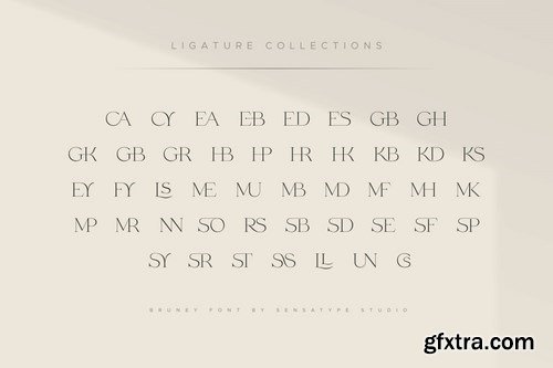 Bruney - Classy Ligature Font