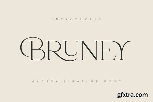 Bruney - Classy Ligature Font