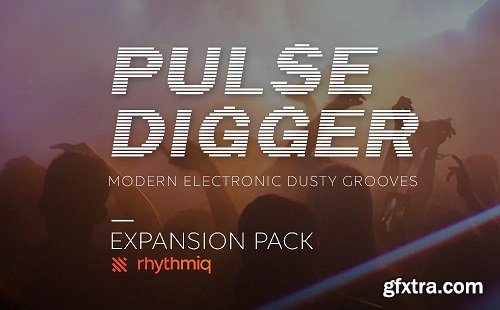 Accusonus Pulse Digger Expansion Pack for Rhythmiq-DECiBEL