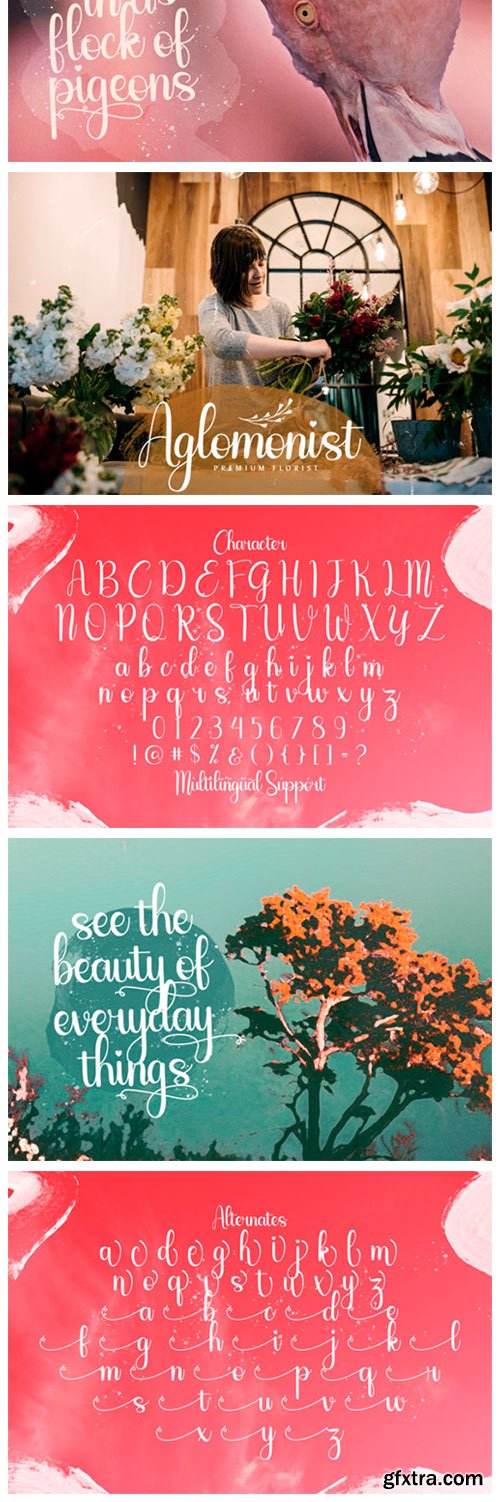 Sailyme Font