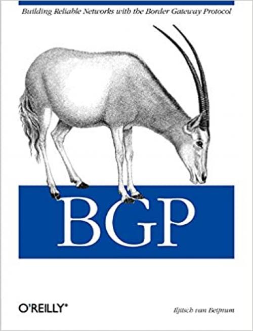  BGP 