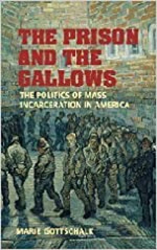  The Prison and the Gallows: The Politics of Mass Incarceration in America (Cambridge Studies in Criminology) 