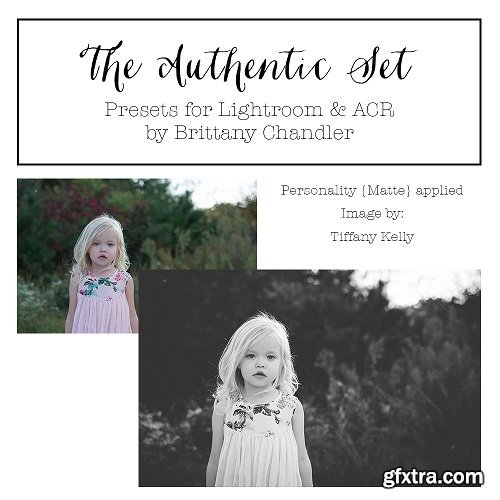 The Authentic Set by Brittany Chandler Presets (LR & ACR)