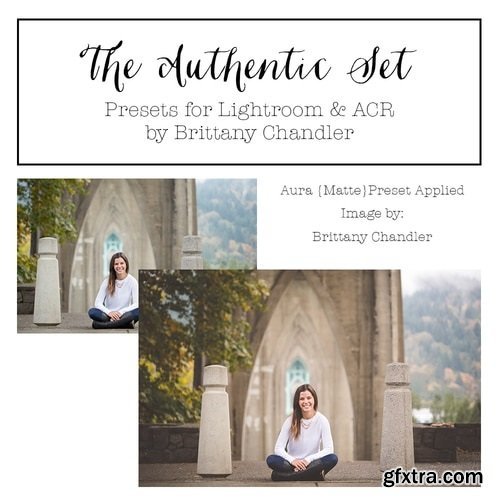 The Authentic Set by Brittany Chandler Presets (LR & ACR)