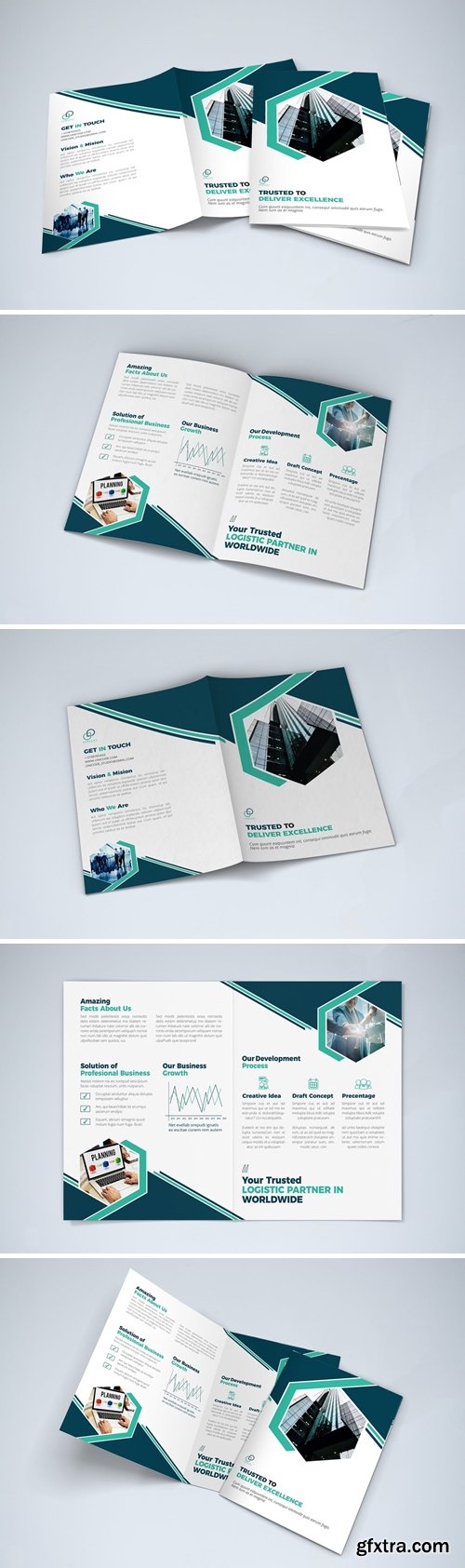 Bifold Brochure