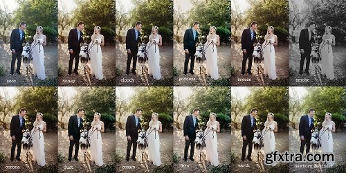 Twig & Olive Photography - LR Terra Film Presets