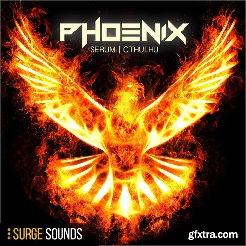 Surge Sounds Phoenix