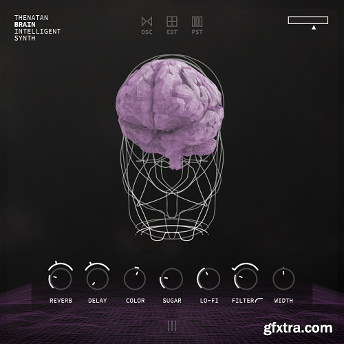 Thenatan Brain Intelligent Synth v1.1.0