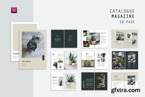 Succulent Catalog Product