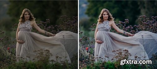 Golden Hour Presets (by Trish Benevides)