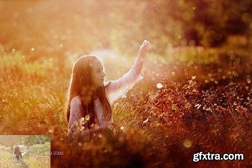 Golden Summer Photo Overlays