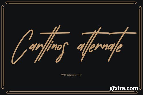 Carttinos Signature Typeface