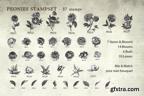 CreativeMarket - Procreate Peonies Stampset 4680116