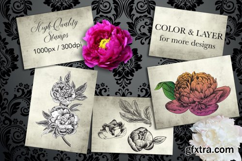 CreativeMarket - Procreate Peonies Stampset 4680116