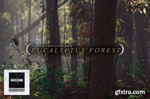 C.V.P - Eucalyptus Forest