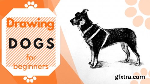  The Dog Figure | Drawing Animals For Beginners