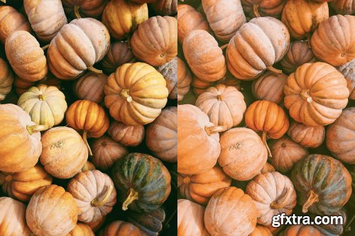 CreativeMarket - 4 Autumn Lightroom Presets 5627655