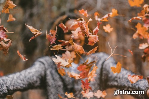 CreativeMarket - 4 Autumn Lightroom Presets 5627655