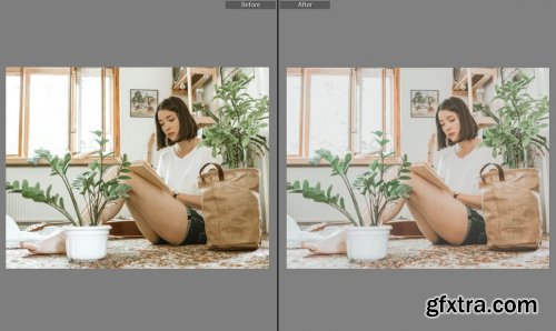 CreativeMarket - VSCO Lightroom Home Presets 5644306