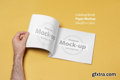 Hand holding blank, box notes mockup