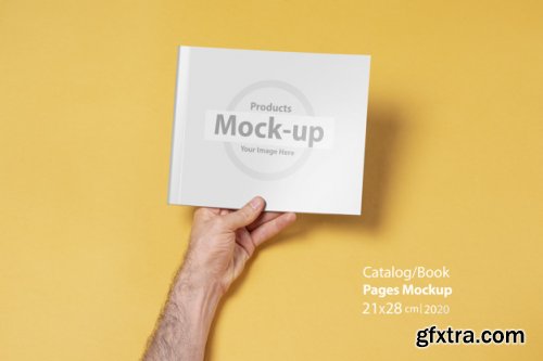 Hand holding blank, box notes mockup