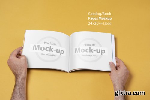 Hand holding blank, box notes mockup